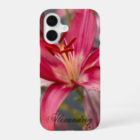 Pink Asiatic Lily – Elegant Flower Photography
