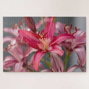 Pink Asiatic Lily – Elegant Flower Photography Jigsaw Puzzle