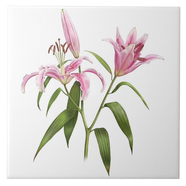 Pink Asiatic Stargazer Lily Botanical Art Tile (Front)