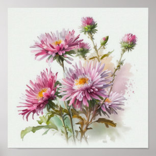 Pink Aster Flower Art Print Poster
