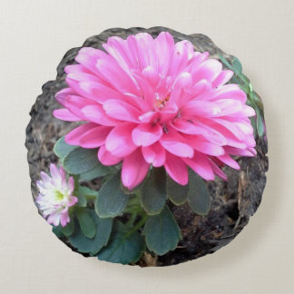 Pink Aster Flowers Round Cushion