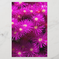 Pink Aster Flowers Scrapbook Paper