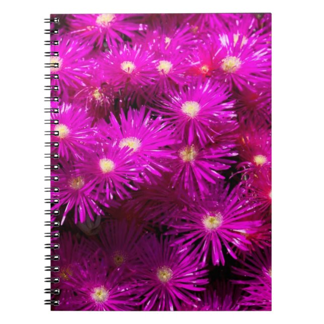 Pink Aster Flowers Spiral Notebook (Front)