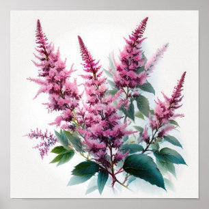 Pink Astilbe Flower Art Print Poster