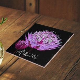 Pink Astrantia Flower on Black Background Floral Tile