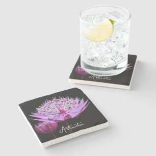 Pink Astrantia Flower on Black Floral Stone Coaster