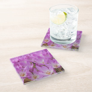 Pink Autumn Crocus Blooms Floral Glass Coaster