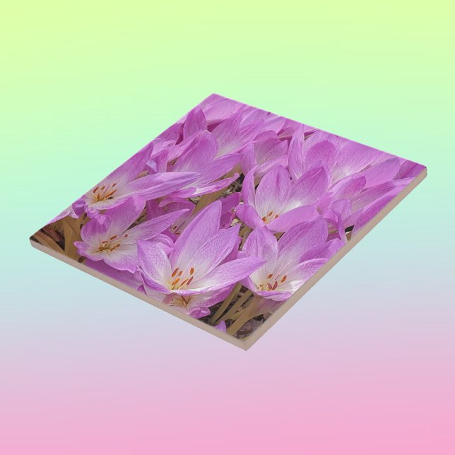 Pink Autumn Crocus Blooms Floral Tile (In Situ)