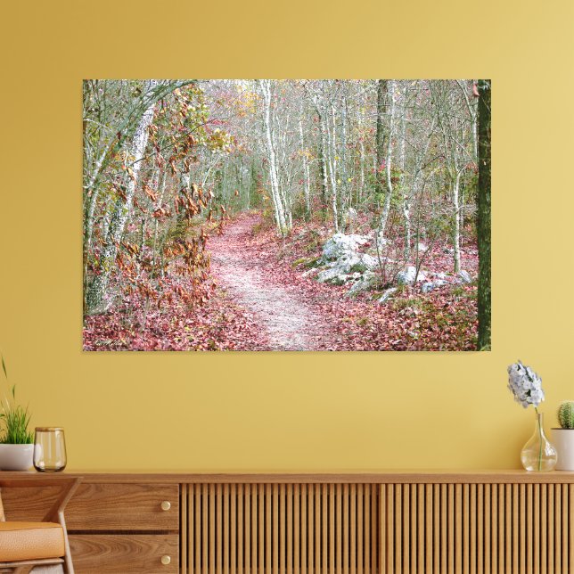 Pink Autumn Leaves Goat Rock Trail Arkansas Canvas Print (Insitu(LivingRoom))
