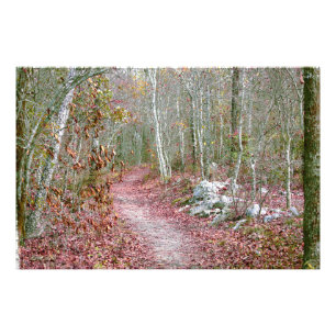 Pink Autumn Leaves Goat Rock Trail Arkansas Photo Print