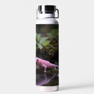 Pink Axolotl Down At The River, Water Bottle