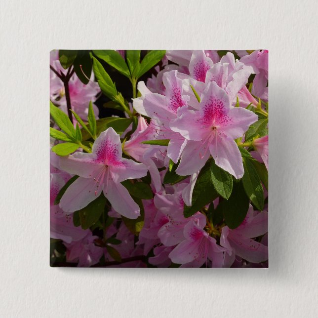 Pink Azalea Bush Spring Floral 15 Cm Square Badge (Front)