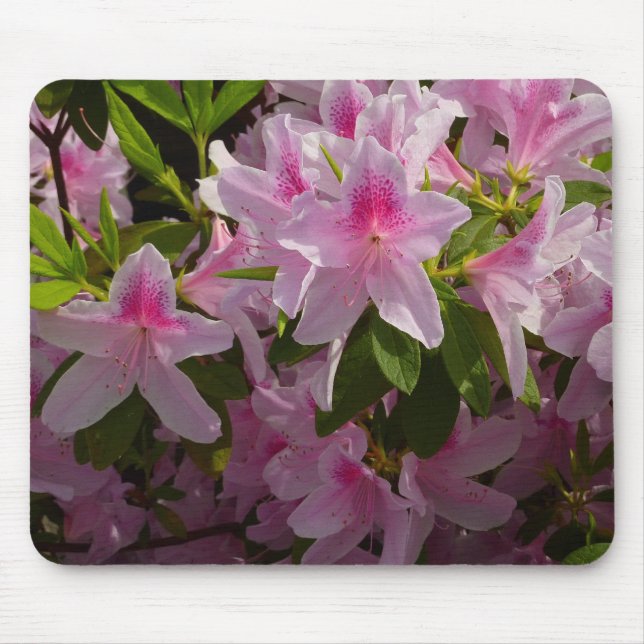 Pink Azalea Bush Spring Floral Mouse Pad (Front)