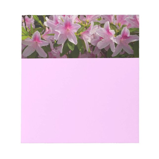 Pink Azalea Bush Spring Floral Notepad (Front)