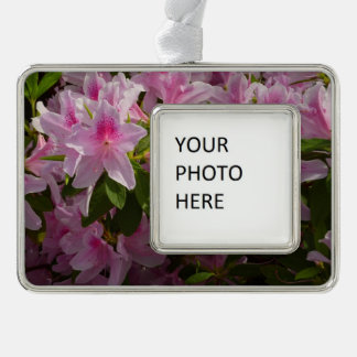 Pink Azalea Bush Spring Floral Silver Plated Framed Ornament