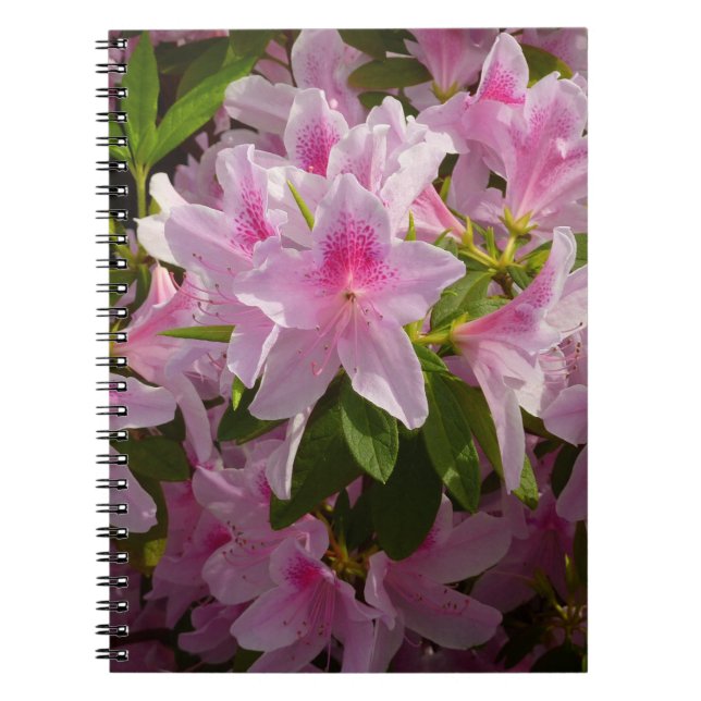 Pink Azalea Bush Spring Floral Spiral Notebook (Front)