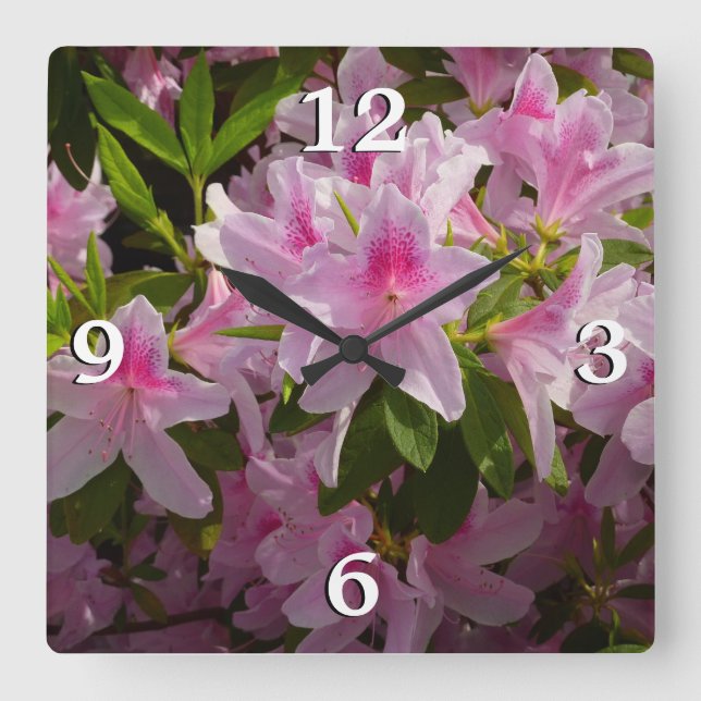Pink Azalea Bush Spring Floral Square Wall Clock (Front)