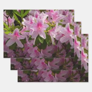 Pink Azalea Bush Wrapping Paper Sheet