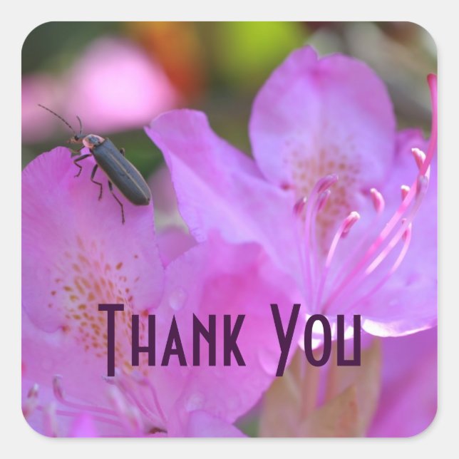 Pink Azalea Flower Insect Thank You Sticker (Front)