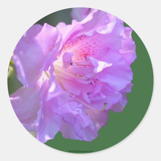 Pink Azalea Flower Photo Sticker Label (Front)