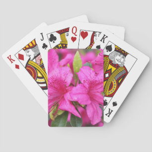 pink azalea flowers, 杜 鹃 花 playing cards