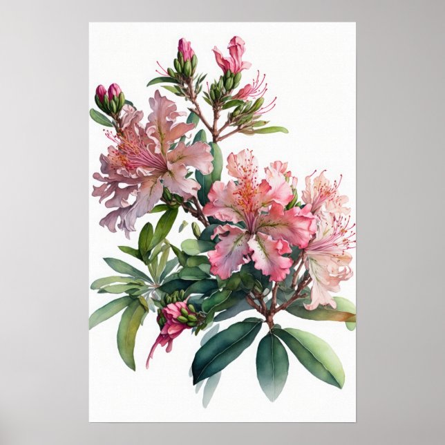 Pink Azalea Flowers Art Print Poster (Front)