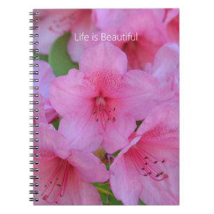 Pink Azalea Flowers (my photography) Notebook