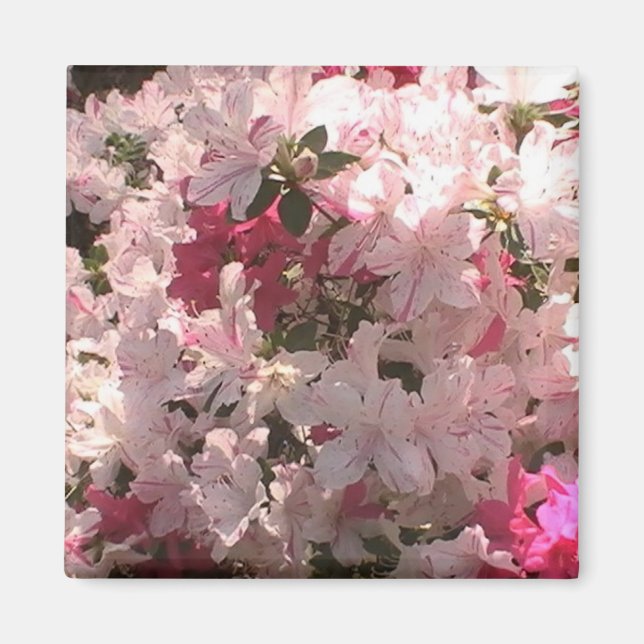 Pink Azalea Magnet (Front)