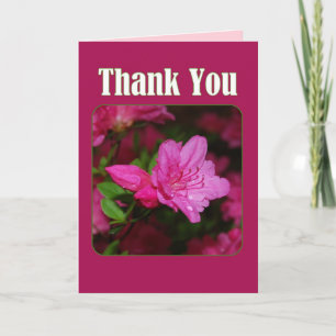 Pink Azalea Thank You Card