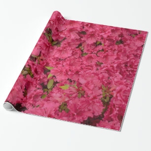 Pink Azalea Wrapping Paper