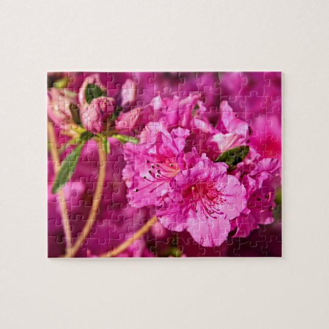 Pink Azaleas Jigsaw Puzzle (Horizontal)