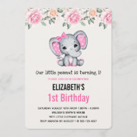 Pink Baby Elephant and Roses Border Birthday