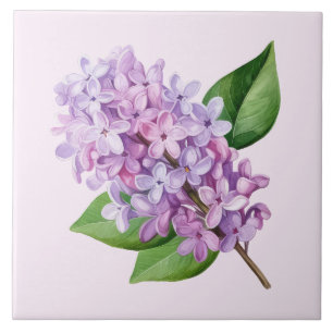 Pink Background Lilac Blossom Art Tile