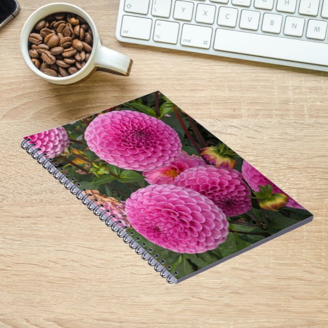 Pink Ball Dahlias Floral Notebook (In Situ)