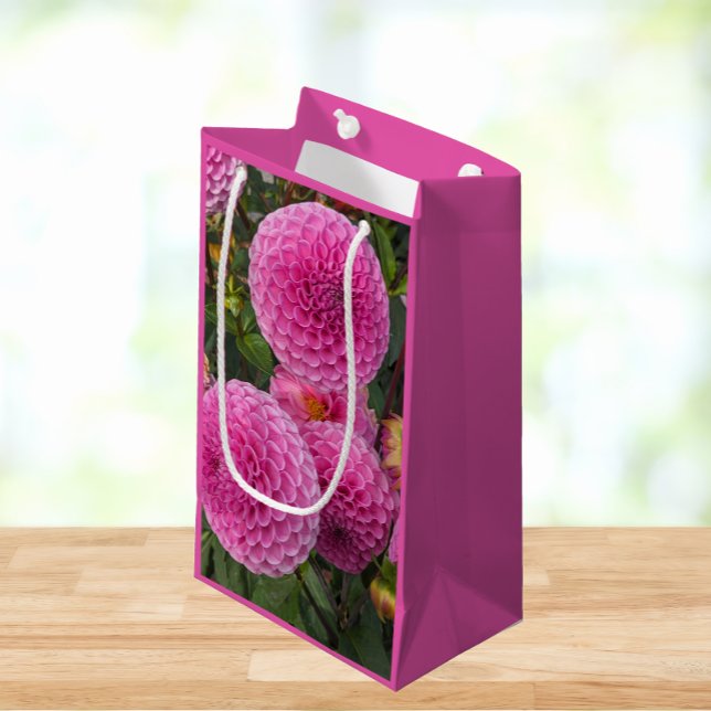 Pink Ball Dahlias Floral Small Gift Bag (In Situ)