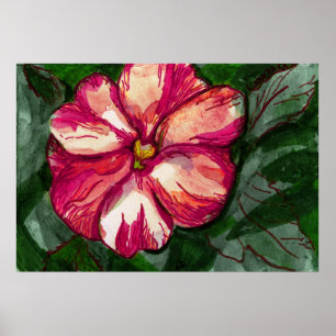 Pink Balsam Flower Poster