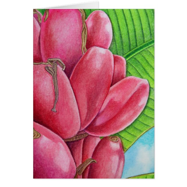 Pink Bananas (Front)