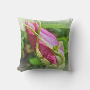 Pink Beach Rose Rosebud Cushion