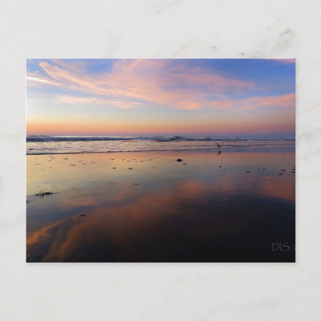 Pink Beach Sunrise Postcard (Front)