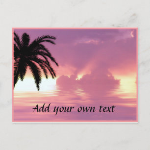 Pink Beach Sunset Postcard