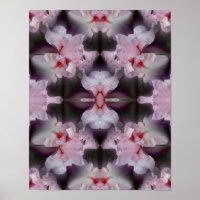 Pink Bearded Iris Flower Abstract