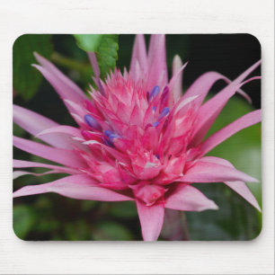 Pink Beauty Mouse Pad