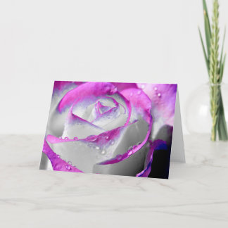 Pink Beauty Rose Card