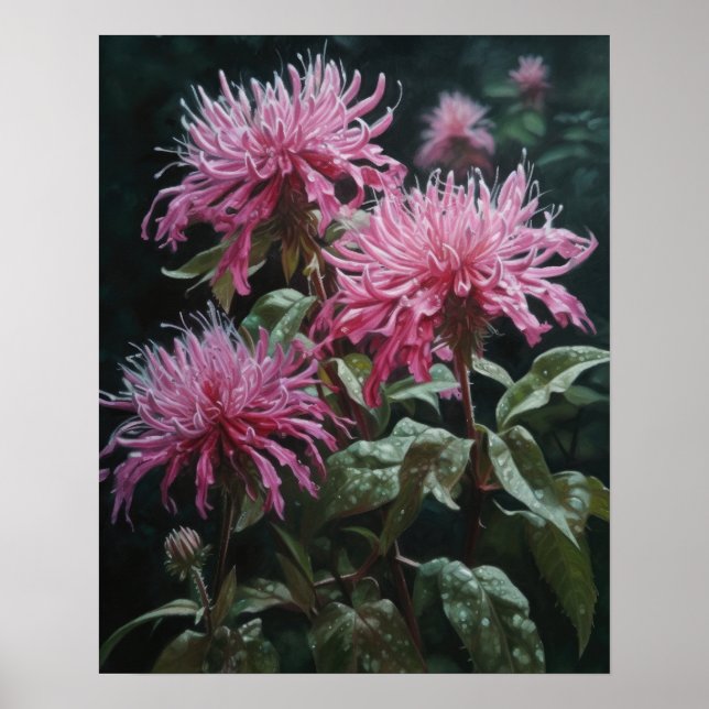 Pink Bee Balm Flowers Art Print Poster (Front)