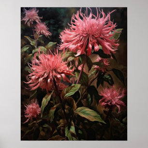 Pink Bee Balm Flowers Art Print Poster