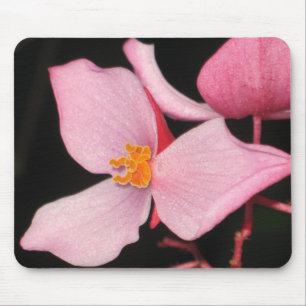 Pink Begonia Mousepad