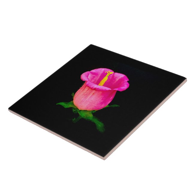 Pink Bellflower on Black Tile (Side)
