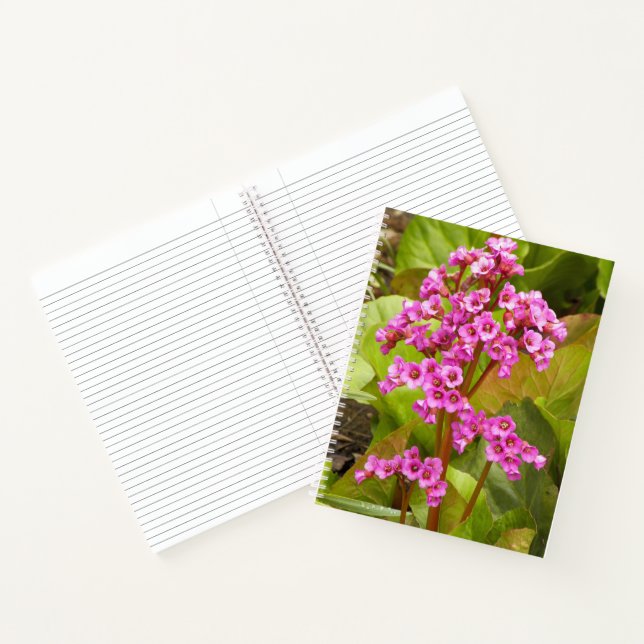 Pink Bergenia Flowers Floral Notebook (Inside)