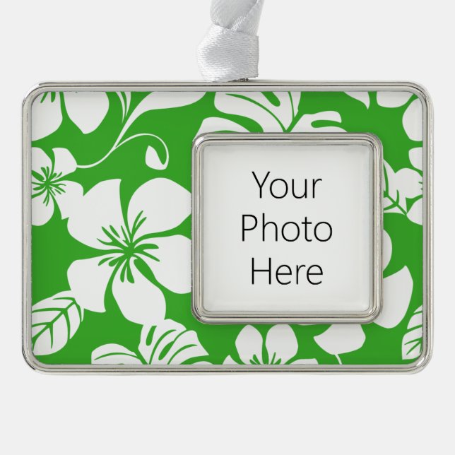 PINK BIKINI (CITRUS GREEN) SILVER PLATED FRAMED ORNAMENT (Front)