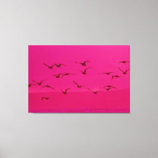 PINK BIRD FLIGHT 32x48 Canvas Print